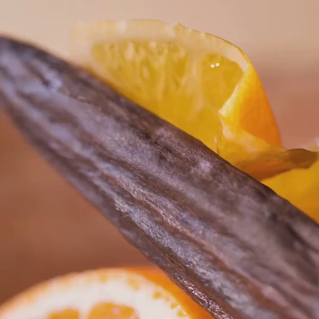 Dream Sicle Botanical Oil | Vanilla & Orange Essential Oils