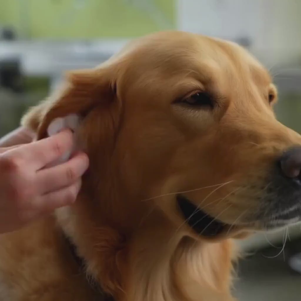 Fresh Ears Botanical Oil for Dogs & Cats