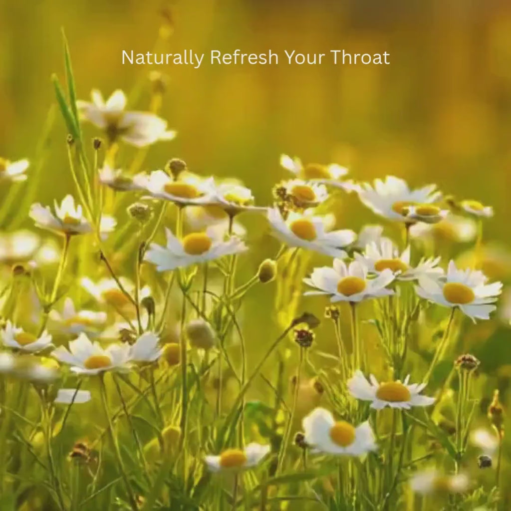 Botanical Sore Throat Support Mist | Herbal Plant Spray