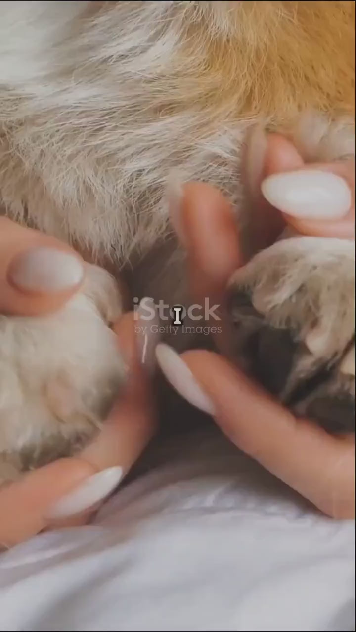 Natural Paw Butter for Dogs and Cats